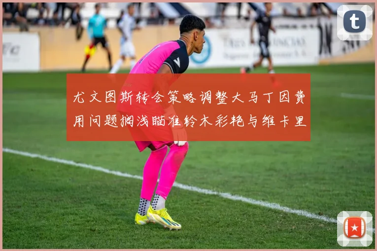 尤文图斯转会策略调整大马丁因费用问题搁浅瞄准铃木彩艳与维卡里奥