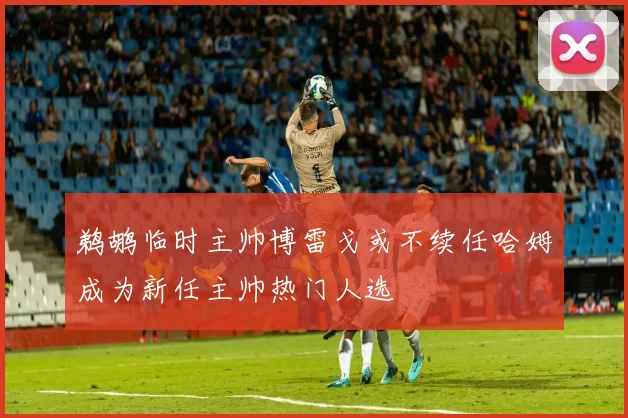 鹈鹕临时主帅博雷戈或不续任哈姆成为新任主帅热门人选